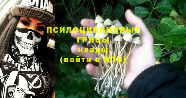 эйфоретик Алексин