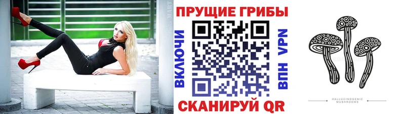 Галлюциногенные грибы ЛСД  закладки  мега рабочий сайт  Саки 